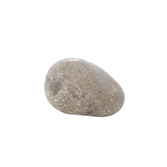 Pet Rock