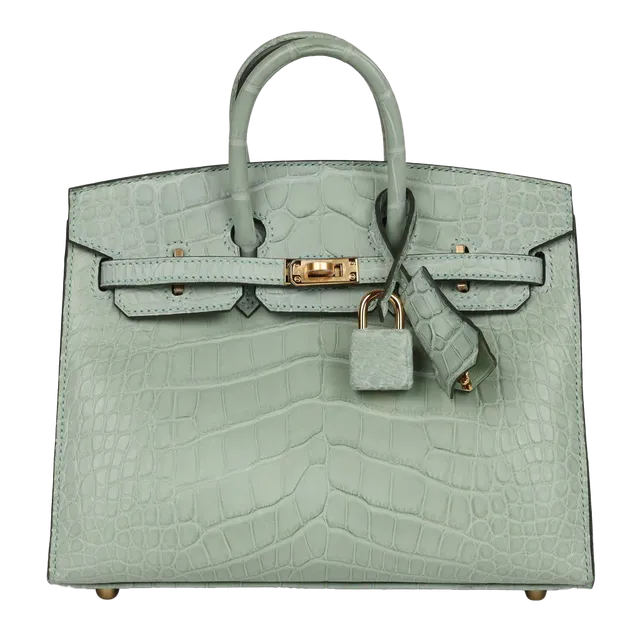 Hermès Birkin Sellier 20 Vert D'eau Matte Alligator Gold Hardware