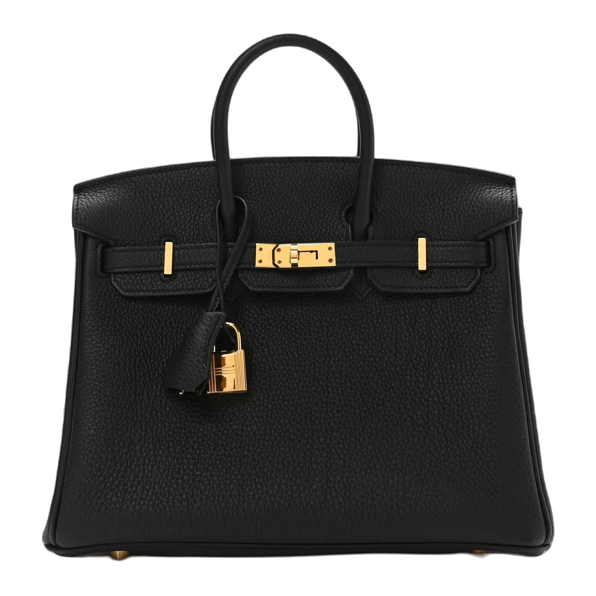 Hermès Birkin 25